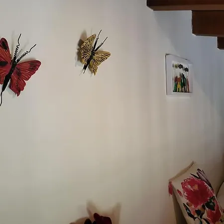 Casa de Férias Vivian's House For Relaxing Holidays In Nature *