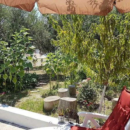Casa de Férias Vivian's House For Relaxing Holidays In Nature